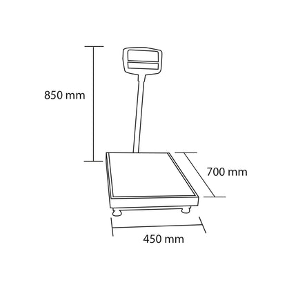Balanza Electronica 300 KG.